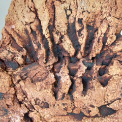 Keramieken vissculptuur MB13  close-up